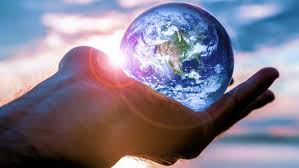 Fundación Tortuga pequeñas acciones gran impacto 4