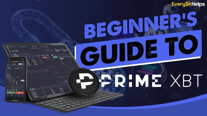 Understanding the User Base How Many PrimeXBT Users
